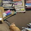 揺れ