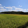 神戸電鉄押部谷駅→栄駅。明石川沿いに田んぼ拡がる風景。