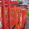 春の息吹を探しに（文京区散歩）