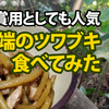 道端のツワブキと葛の新芽を料理して食べてみた