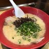 とんこつラーメンに欠かせない！アラゲキクラゲ（荒毛木耳）ってどんなきのこ？