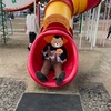 ▪️育児　1歳9ヶ月　カウントダウンできる様になった
