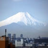 降ったね。積もったね。　久々の雪の富士山。