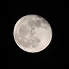 今日の十六夜