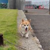 すごい大雨でした！！