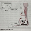 賢いランナー⁉️ふくい桜マラソン前・痛み解決コンディショニング