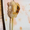 人形町 鳥波多゛｜希少部位メニューが多いが「もも」が美味い！