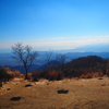 鍋割山登山｜鍋割山荘名物、絶品鍋焼きうどんを目指して寄から日帰り登山！