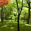 2018年圧縮編01 ～桜と、お城と、新緑の空きコマ～