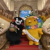 くまモン　北海道で熊本PR