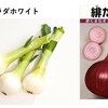 早生玉ねぎ２種の植え付け