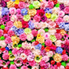 花花花