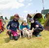 横須賀中央愛犬アジリティクラブアジリティ競技会