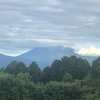 今朝の景色