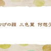 人面草【晩春の俳句】