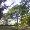 公園にて
