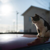 Ordinary life #115