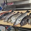 本日の鮮魚。