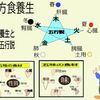 781番目のテーマ「漢方食養生」について、