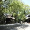 「玉敷神社」の大藤