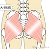 大臀筋を意識したペダリングを練習してみた