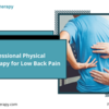 Professional Physical Therapy for Low Back Pain