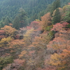 願はくは花の下にて春死なむ そのきさらぎの望月の頃