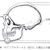 じじぃの「科学・地球_398_人類の起源・初期のホモ・サピエンス」