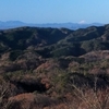 土岳からの富士山