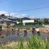 今年も田植えやってきました！！