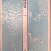 龍詩集　1989