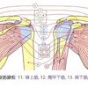 最近困っていること