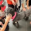 2024年9月29日 いわき市動物愛護ふれあいフェスティバル