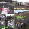 富士山麓鳴沢村で乗馬体験  ホーストレッキング＆プチツーリング　 🐎