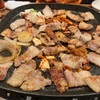 炭火 牛ホルモン なんじゃ家　