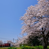 会津盆地の満開の桜とED75-757を撮る！(会津若松撮影会の返却回送編)