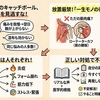 久しぶりにボールを投げたら肩が痛い｜知恵袋の原因と治し方