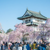 GWの旅 ③ 弘前さくらまつりに行く