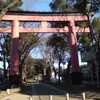 氷川神社で散歩