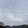 桜は満開、でも世界は暗い