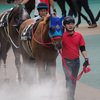 ダービー前日、グルメパーク東京競馬場が戻ってきていたのでランチに行ってきた