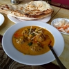 ある日のパキカレー　カリ・パコラ＠アリインディアンレストラン