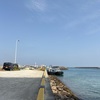 石垣島で釣気軽に釣りを楽しもう。🎣