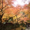 月日は百代の過客にして。。。