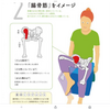 側湾症の原因は腸骨筋の動きが悪い