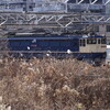 新鶴見でEF65形とEF66形100番台の収録