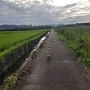 やっぱり岐阜県も暑かった…😅(わん蕎庵～岩門の滝編)
