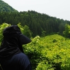 今季2度目の “放牧” へ・・・