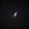 ごつごつした NGC2976 おおぐま座 渦巻銀河