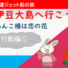 伊豆大島・椿まつりに行こう！【行動編①】（2020年02月15日）